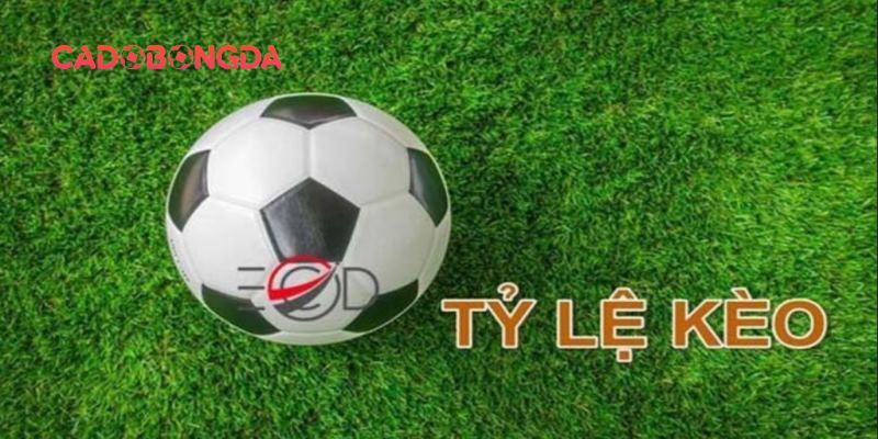 Các dạng tỷ lệ kèo phổ biến