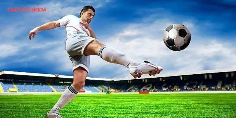 Kinh nghiệm chọn nhà cái cá cược online 2025