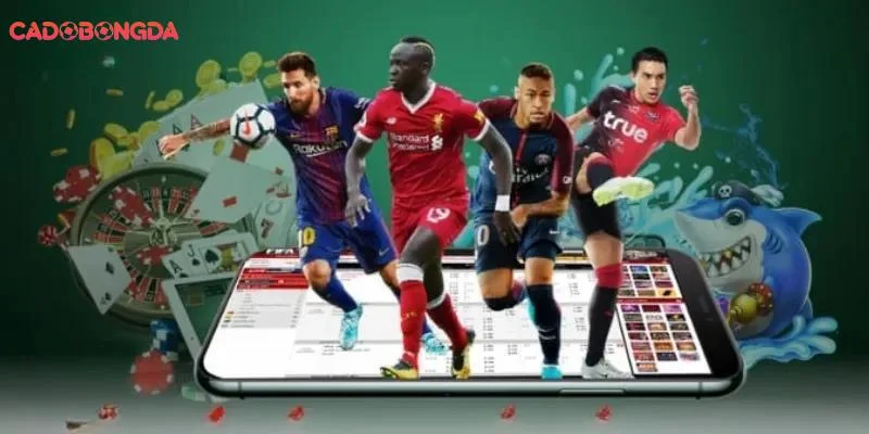 Thông tin Điều Khoản Dịch Vụ mới nhất 2025