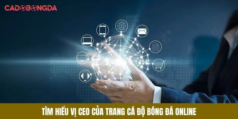 Tìm hiểu vị CEO của trang Cá Độ Bóng Đá Online